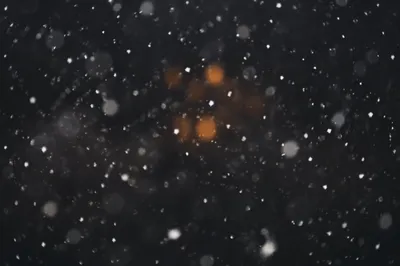Soft Falling Snow on Dark Christmas Night