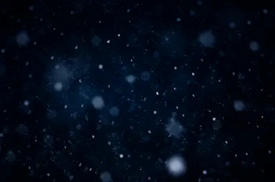 Soft Falling Snow on Dark Christmas Night
