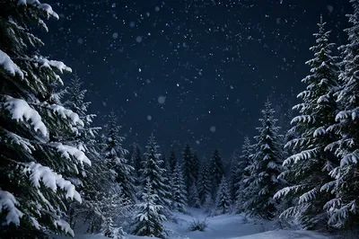 Soft Snowfall Over Twilight Evergreen Forest