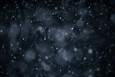 Soft Snowfall on Dark Christmas Background