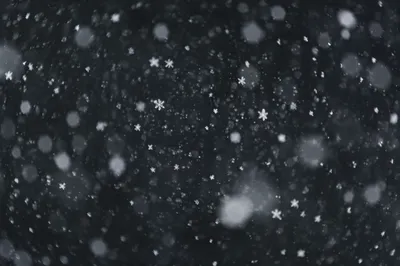 Soft Falling Snow on Dark Christmas Background