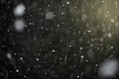 Soft Snowfall on Dark Christmas Night