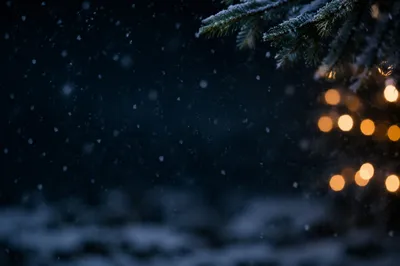 Soft Falling Snow on Dark Christmas Night