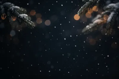 Soft Falling Snow Christmas Night Background