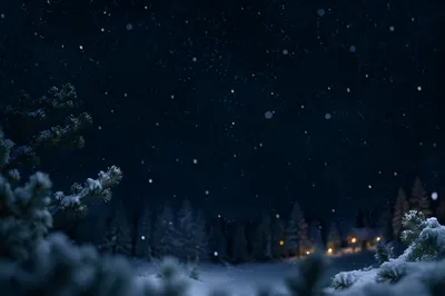 Soft Snowfall Over Midnight Christmas Woodland