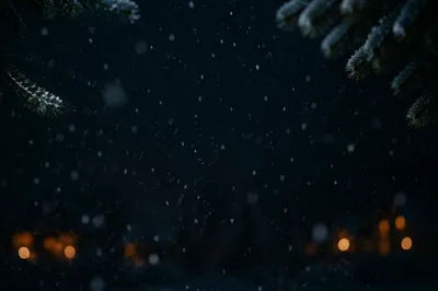 Soft Christmas Snowfall on Dark Night