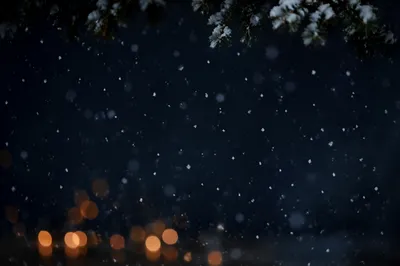 Soft Christmas Snowfall on Dark Night