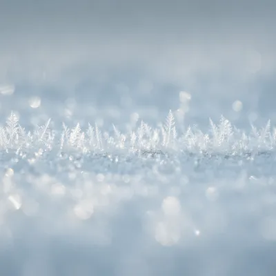 Macro Snow Crystals in Soft Winter Light
