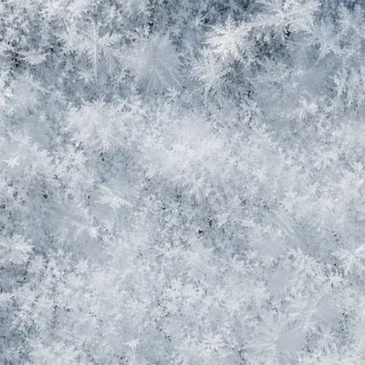 Macro Snow Crystals Winter Texture