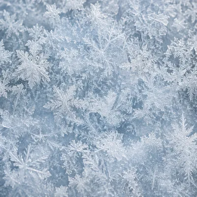 Delicate White Snow Crystal Winter Texture