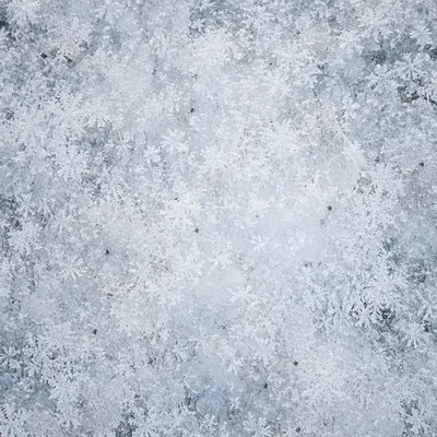 White Frost Crystal Winter Background