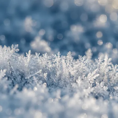 Pristine Snow Crystals Winter Macro Background