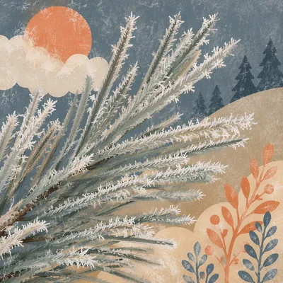 Hoarfrost Pine Needles Winter Texture
