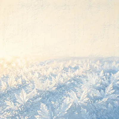 Untouched Snow Crystals Winter Background