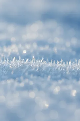 Macro Snow Crystal Winter Background