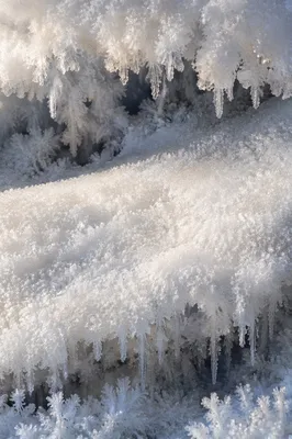 Macro White Snow Crystals Background