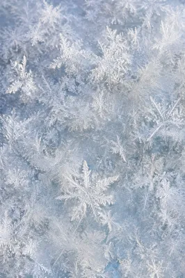 Frosted Snow Crystals Winter Texture
