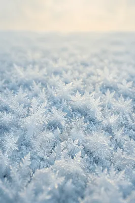Macro Snow Crystals Winter Background