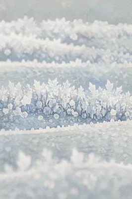 White Snow Crystal Macro Winter Background