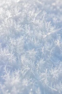 Serene White Snow Crystal Texture Background