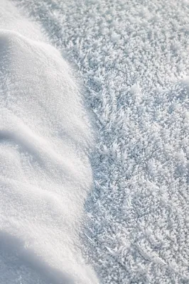 White Snow Texture with Frozen Crystals