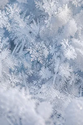 Fresh Snow and Ice Crystal Texture
