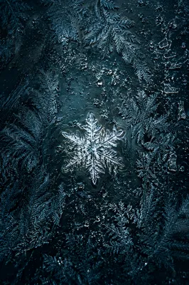 Glowing Snow Crystal Frost Background