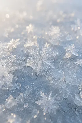 Macro Snowflake on Frozen Winter Crystals