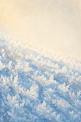 Untouched Snow Crystals Winter Background