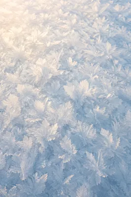 Sparkling Untouched Snow Crystal Background