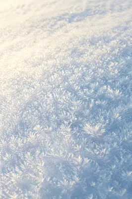 Pristine Snow Crystal Winter Background