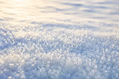 Sparkling Frozen Snow Crystal Texture