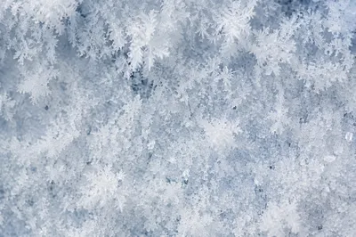 Fresh Snow and Frost Crystal Background