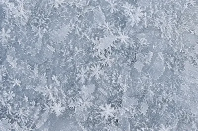 White Snow and Ice Crystal Background
