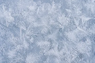 Delicate White Snow Crystal Texture Background