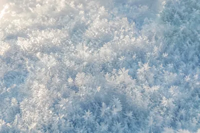 Serene White Snow Crystal Background