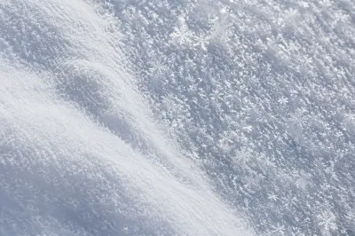 White Snow Texture with Frozen Crystals