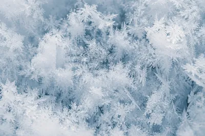 Fresh Snow and Ice Crystal Texture