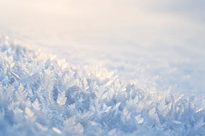 Untouched Snow Crystals Winter Background