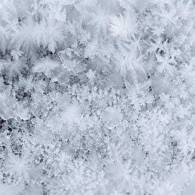 Photorealistic Snow and Ice Crystal Texture