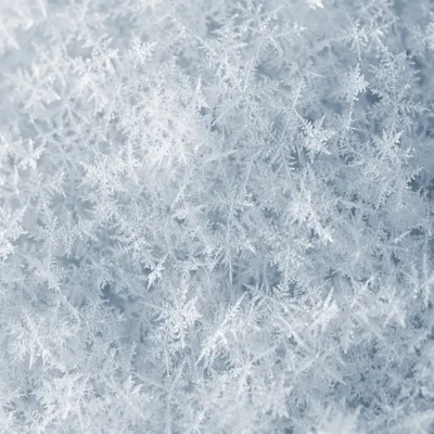 Photorealistic White Snow Crystal Texture