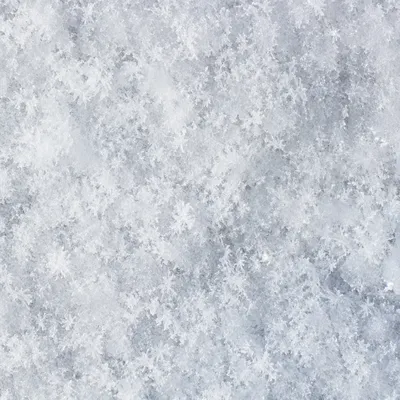 Photorealistic White Snow Crystal Texture