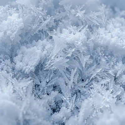 Fresh Snow and Ice Crystal Texture