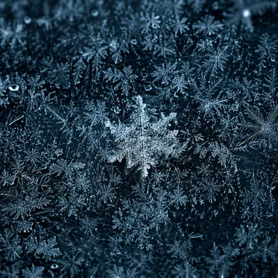 Glowing Snowflake on Dark Frost Texture