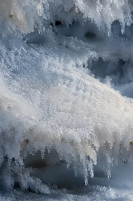 Pristine Snow Crystals Macro Background