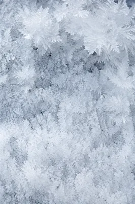 Photorealistic White Snow Crystal Texture