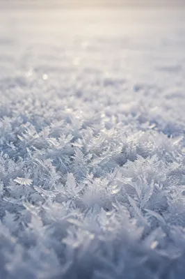 Photorealistic Snow Crystal Winter Background
