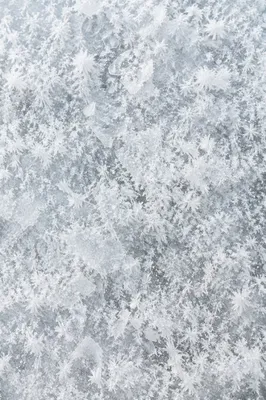 White Snow and Ice Crystal Texture