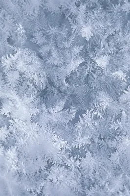 Photorealistic White Snow Crystal Texture