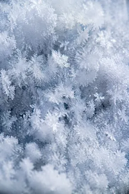 Fresh Snow and Ice Crystal Texture